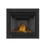 Napoleon Ascent X 36" Direct Vent Gas Fireplace GX36