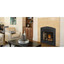 Napoleon Ascent X 70 Direct Vent Gas Fireplace GX70