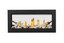 Napoleon Vector Series 38" See Thru Direct Vent Gas Fireplace LV38N2-1