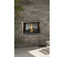 Montigo Mahana Ventless Outdoor Natural Gas Fireplace PL60VONE