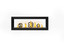 Napoleon Luxuria Series 50" Linear See-Thru Fireplace LVX50N2X-1