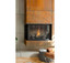 Montigo Devine Direct-Vent Indoor See-Thru Propane Fireplace H42FSDL