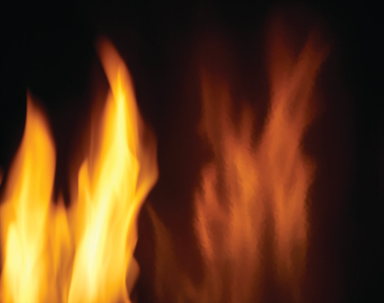 Napoleon Decorative Panels - MIRRO-FLAME™ Reflective Porcelain for Ascent™ Linear 36 — PRPL36