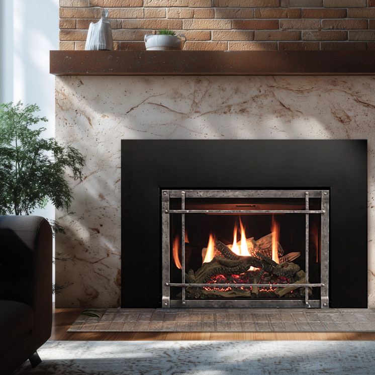 Empire Hearth 30" Rushmore Clean-Face Direct Vent Fireplace Insert DVCT30CBN95