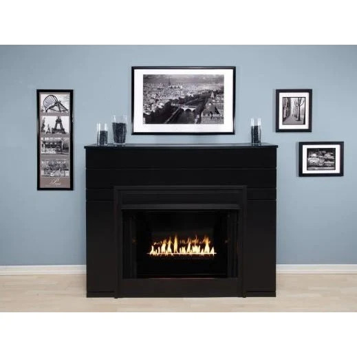 Empire Hearth 42" Breckenridge Select Flush Face Vent-Free Firebox (Firebox Only) VFS42FB0F