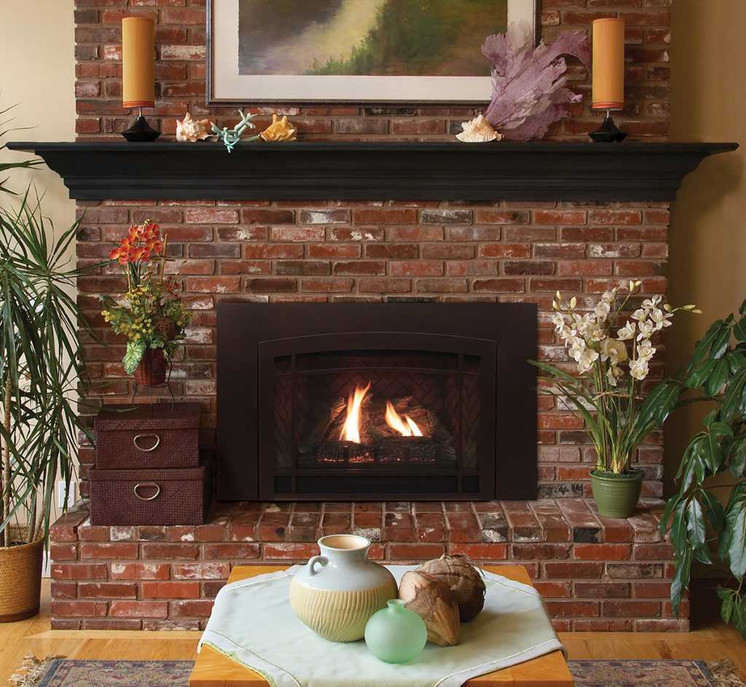 Empire Hearth Innsbrook Small Direct Vent Insert DVC20IN