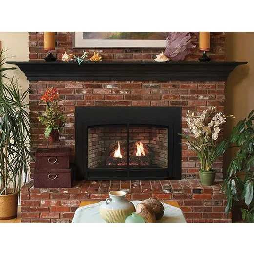 Empire Hearth Innsbrook Small Direct Vent Insert DVC20IN