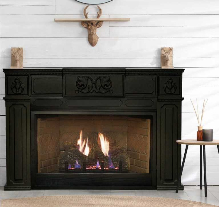 Empire Hearth Innsbrook Medium Direct Vent Insert DVC26IN