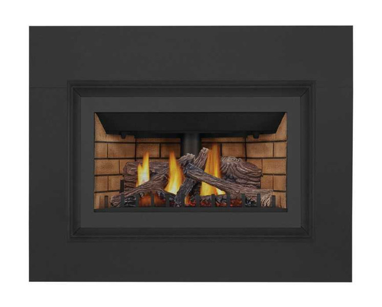Napoleon Inspiration ZC Gas Fireplace Insert GDIZC-NSB