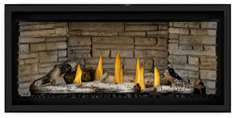 Napoleon Ascent Linear Premium 42-Inch Natural Gas Direct Vent Fireplace BLX42NTE