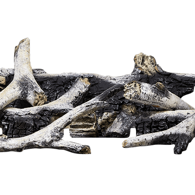 Napoleon BLKAX42-1 — manufacturer-assigned Altitude X birch log style; shared family image