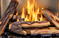 Napoleon High Definition Split Oak Log Kit for Riverside™ 42 — SLKRS42