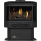 Napoleon Door - Metallic Black for Haliburton GS328K-1
