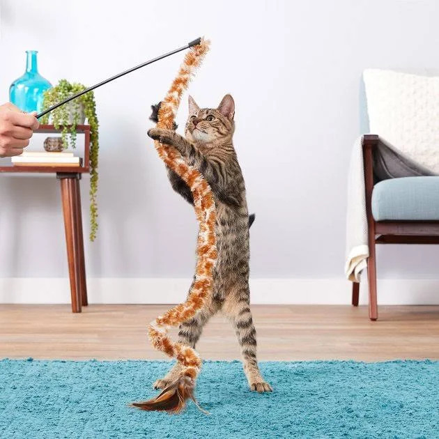 KONG Cat Swizzle Bird Teaser