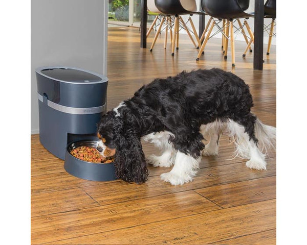 PetSafe Smart Feed Automatic Pet Feeder PFD19-16861