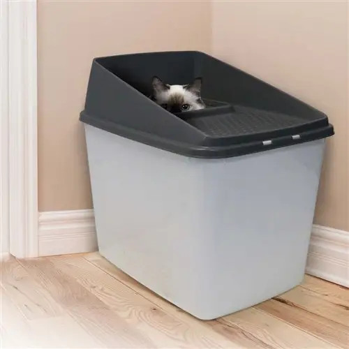 Paws Claws No Mess Cat Litter Box - Main Image