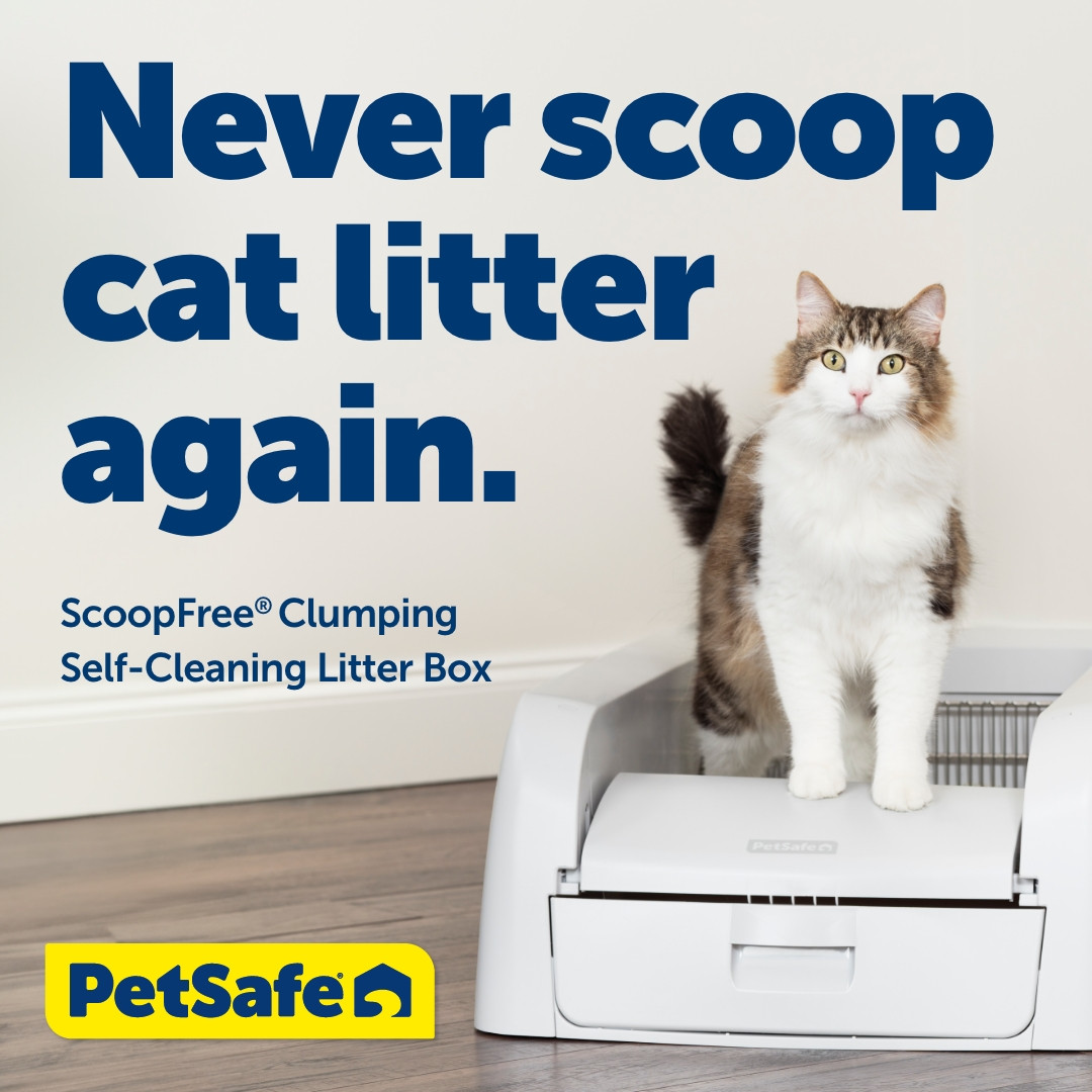 ScoopFree Clumping Self-Cleaning Litter Box PAL00-17762