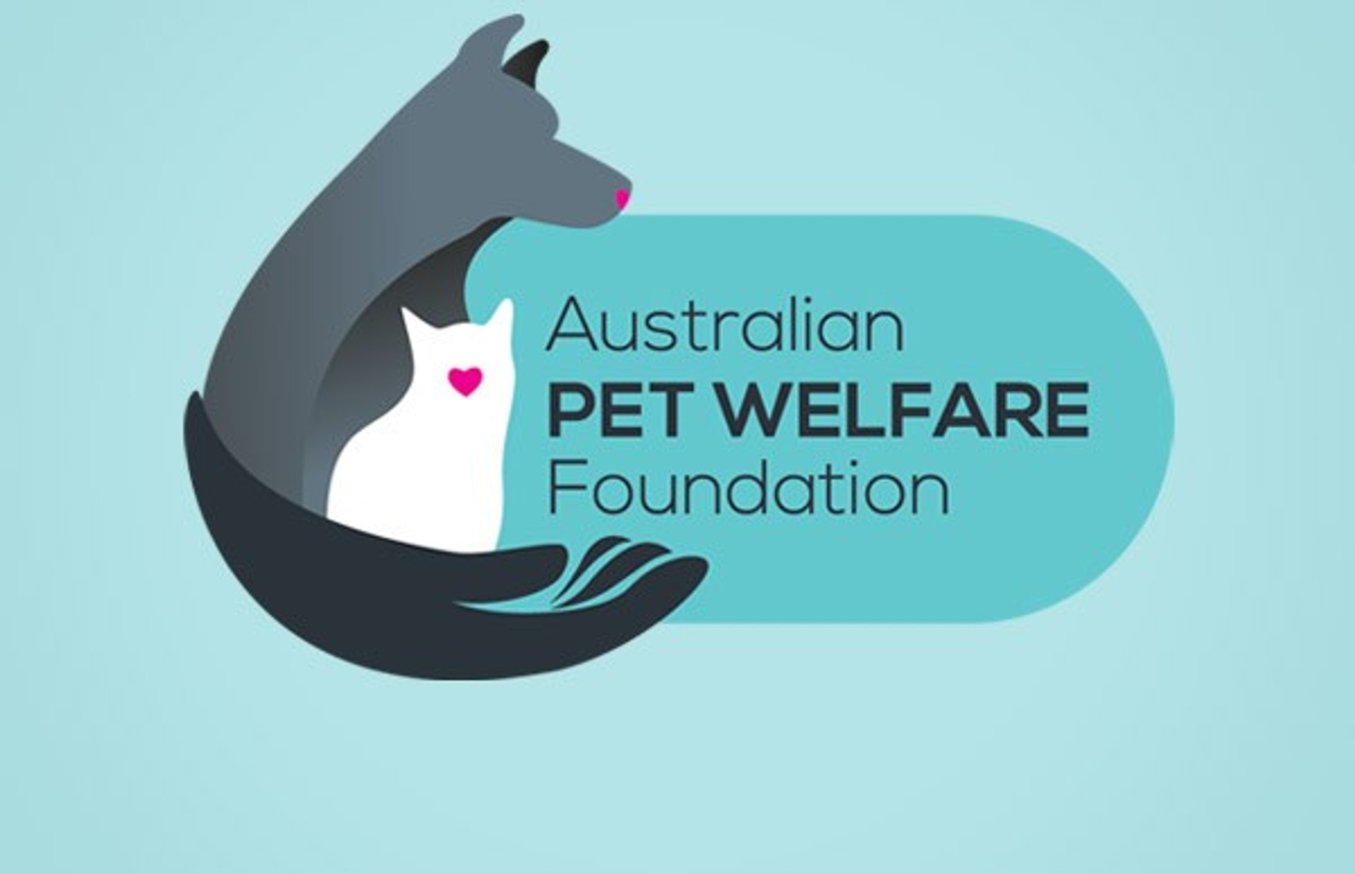 Introducing The Australian Pet Welfare Foundations: Saving The Lives Of Pets!