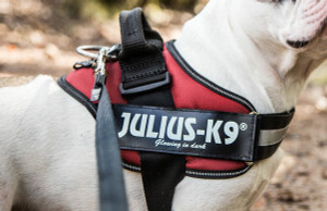 Introducing The Highest Quality, Hand-Made Dog Harness From Julius K9!