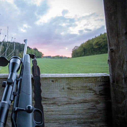 Defensive Carbine — 8 Hour Course