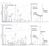 AlbuVoid™ LC-MS On-Bead For Serum Proteomics