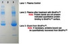 BindPro™ For Drug Binding/Screening, Metabolomics and Protein Recovery