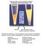 Cleanascite™ Lipid Removal Reagent and Clarification