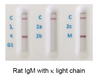 Rat IgM lambda light chain GENISOTYPE02