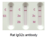 Rat IgG2c Antibody GENISOTYPE01