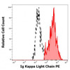 Kappa Light Chain Antibody (PE)