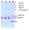 Human Apolipoprotein CII (Apo CII), 20% glycerol