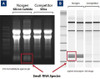 Total RNA Purification Kit Dx | Dx17200