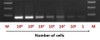 Total RNA Purification Kit Dx | Dx17200