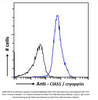 Goat Anti-CIAS1 / cryopyrin ( C Terminus) Antibody | EB05738