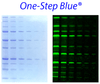 One-Step Blue® Protein Gel Stain | 21003-1L