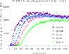 MDM2 E3 Ligase TR-FRET Kit | SBB-KF0030