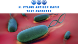 H. pylori Antigen Rapid Test Cassette