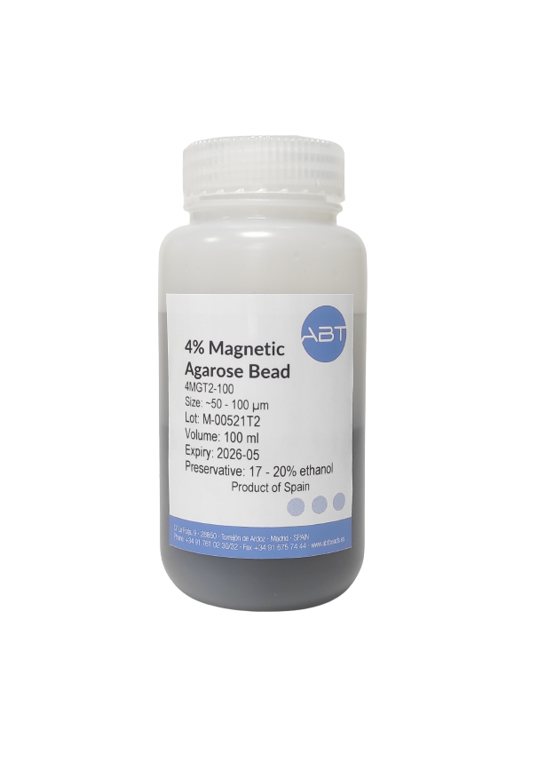 4 Agarose Bead 4MGT2 ABTBeads