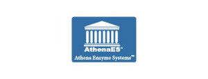 Athena Enzyme Systems