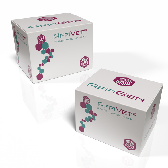 AffiVET® Actinomyces israelii RT PCR & One Step qPCR