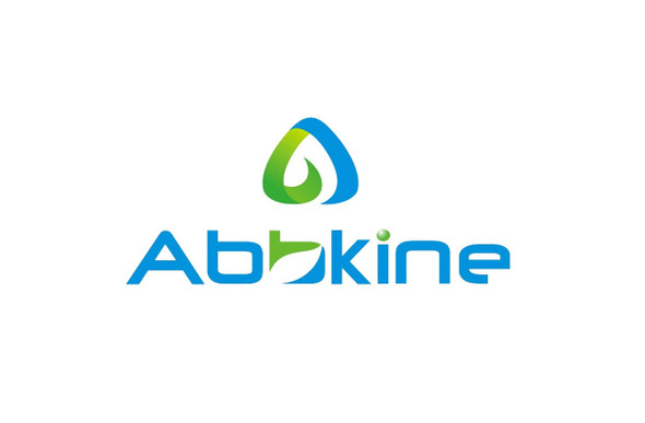 LinKine™ AbFluor™ 594 Labeling Kit (Suitable for samples with molecular weight of 60KD to 100KD)