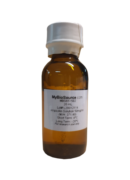 Ampicillin Solution 50mg/ml Antibiotic | MBS651582