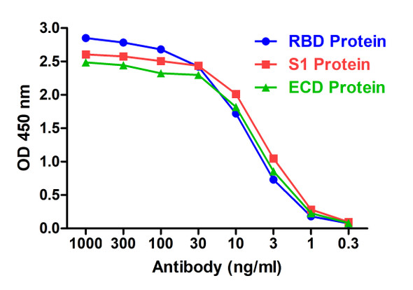 SARS-CoV-2 (COVID-19) S1 RBD Antibody [T3P1-C8] | SD9511
