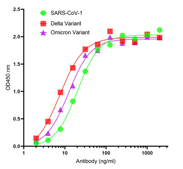 SARS-CoV-2 (COVID-19) Spike S2 Antibody [P1G5] | SD9789