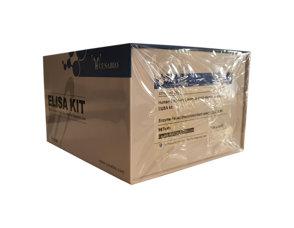 Human Troponin I, Slow Skeletal Muscle (TNNI1) ELISA Kit | CSB-EL024011HU