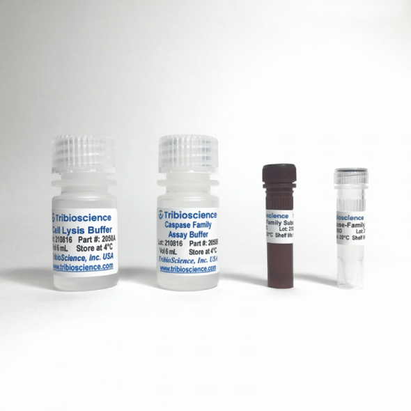 Caspase-Family Colorimetric Assay kit | TBS2050