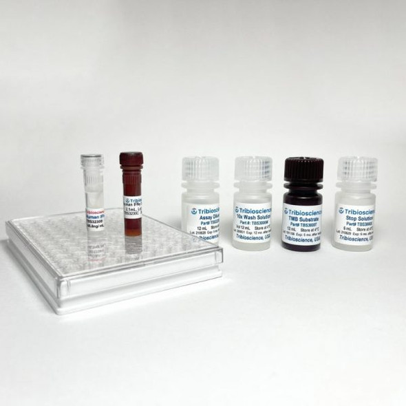 Tribo™ Human IFN γ ELISA Kit | TBS3230