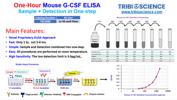 Tribo™ Mouse G-CSF ELISA Kit | TBS3080