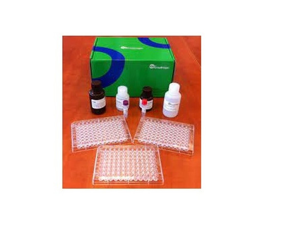 CampBridge ELISA (for Campath Biosimilar comparison)