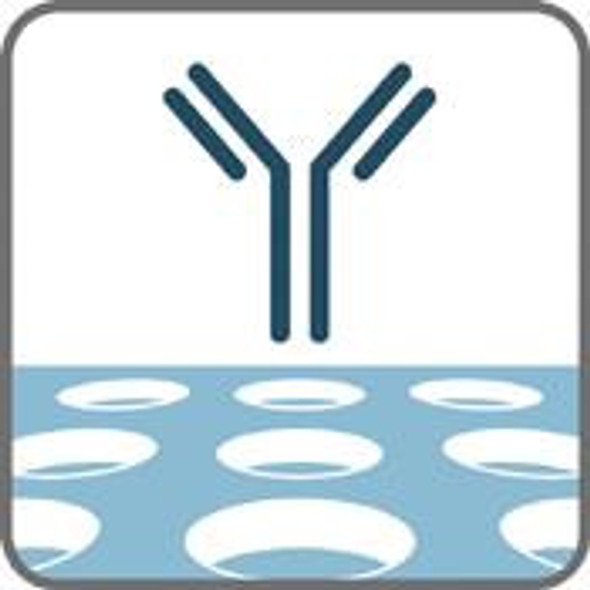 IdentiClone IGH Gene Clonality Assay - ABI Fluorescence Detection | 9-101-0061